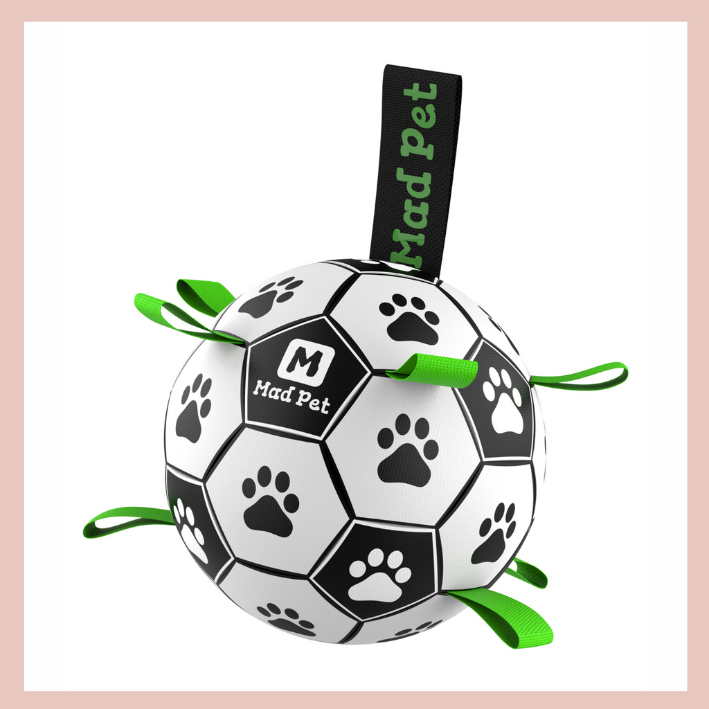 Dog soccer clearance ball