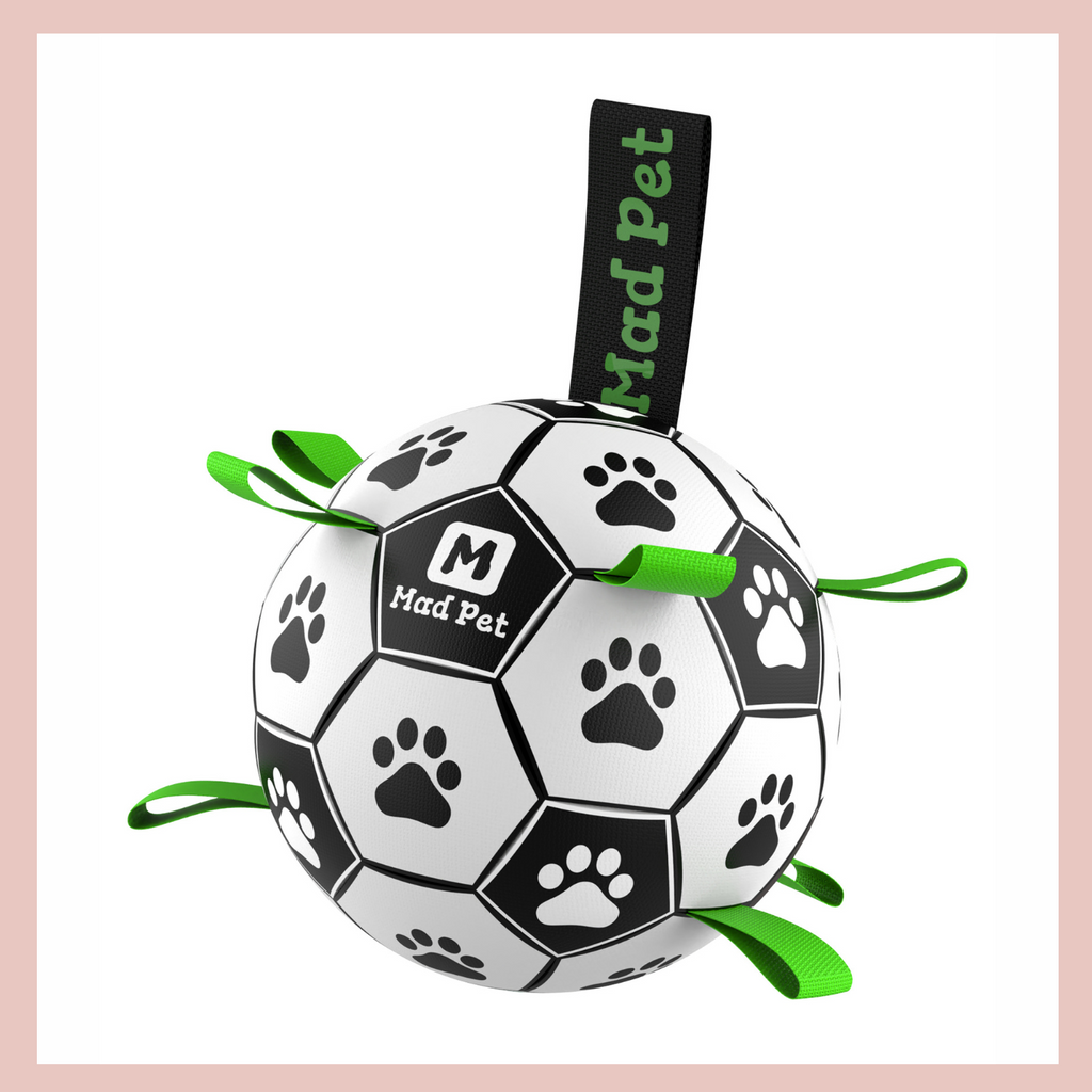 Dog sales soccer ball