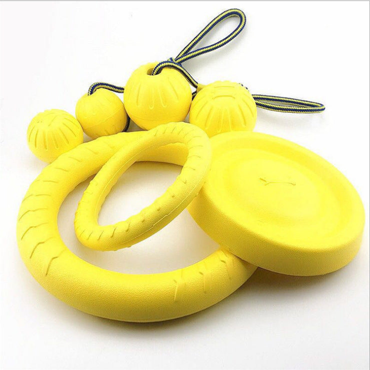 Dog Interactive Training Floating Toy - Disc – Mad Pet