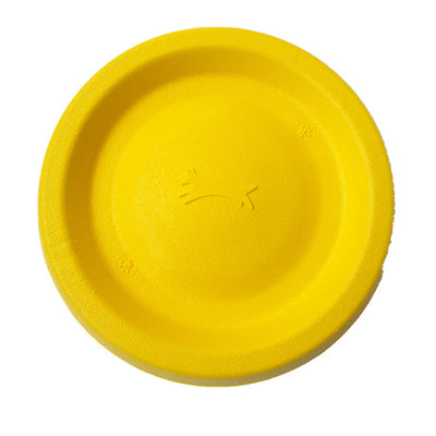 Dog Interactive Training Floating Toy - Disc