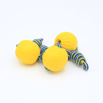 Dog Interactive Training Floating Toy - Ball