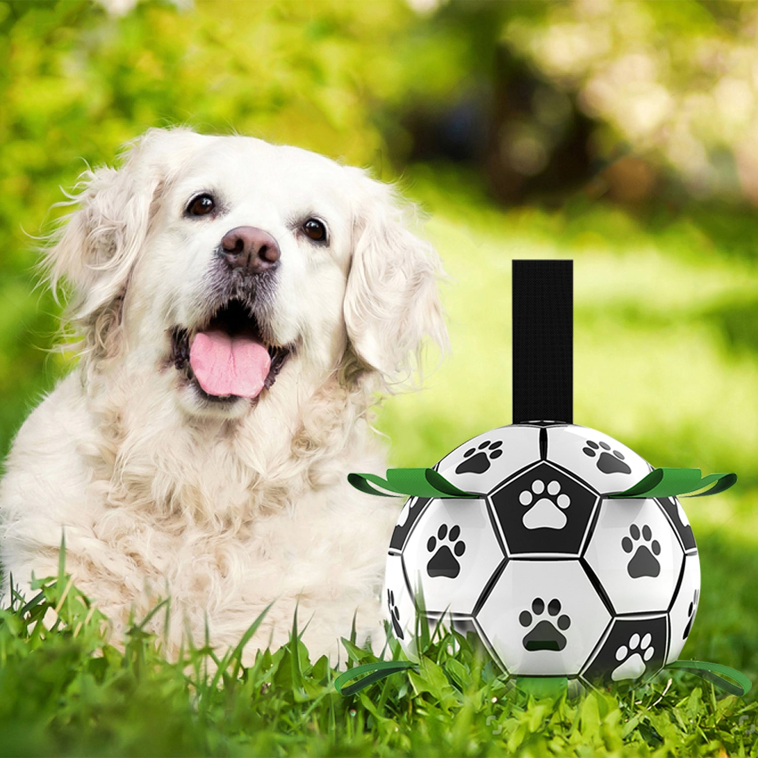 Interactive Dog Soccer Ball EasyGrab Tabs Fun Playtime Mad Pet
